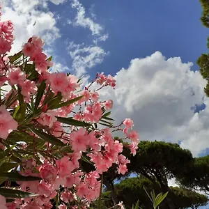 https://romea-family-camping.emilia-romagnahotels.net